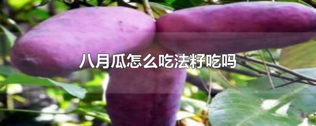 八月瓜怎么吃法籽吃吗 八月瓜怎么吃法籽吃吗