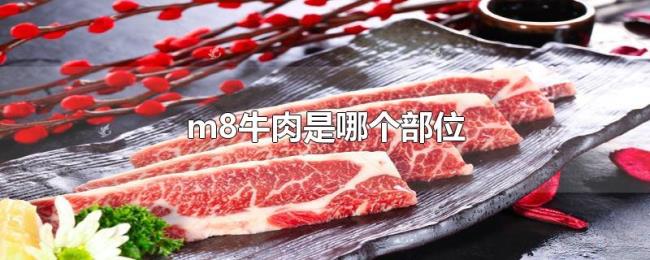 m8牛肉是哪个部位