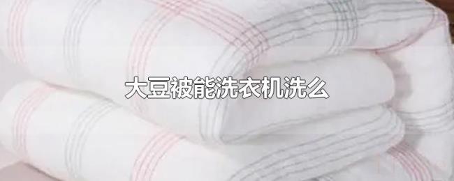 大豆被能洗衣机洗么 大豆被能洗衣机洗么