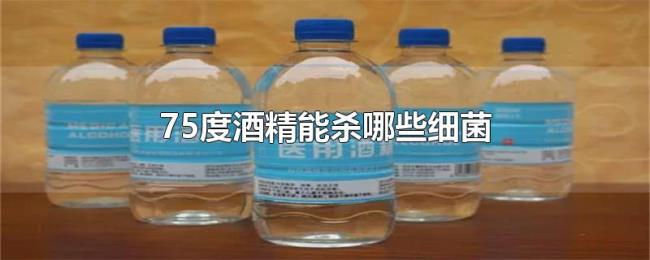 75度酒精能杀哪些细菌