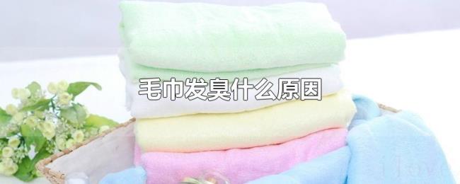 毛巾发臭什么原因 毛巾发臭什么原因