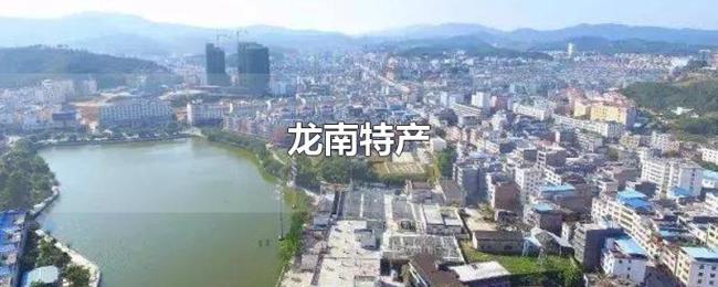 龙南特产 龙南特产