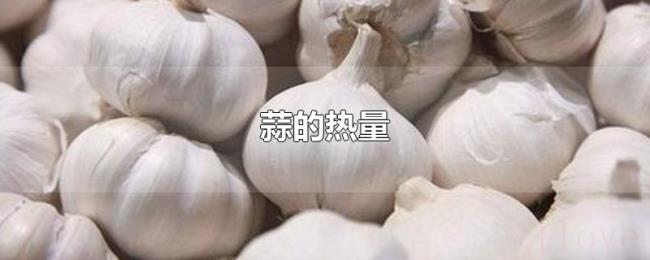蒜的热量 蒜的热量