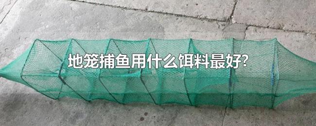 地笼捕鱼用什么饵料最好?