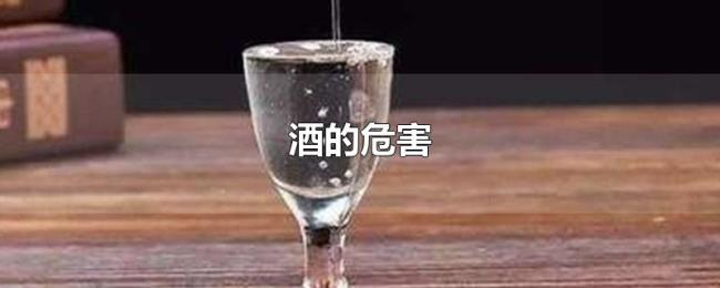 酒的危害 酒的危害