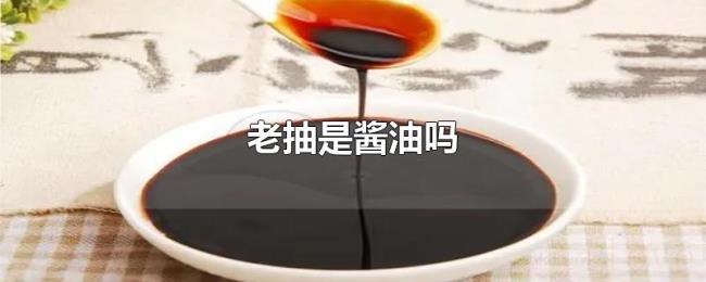 老抽是酱油吗 老抽是酱油吗