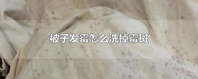 被子发霉怎么洗掉霉斑 被子发霉怎么洗掉霉斑