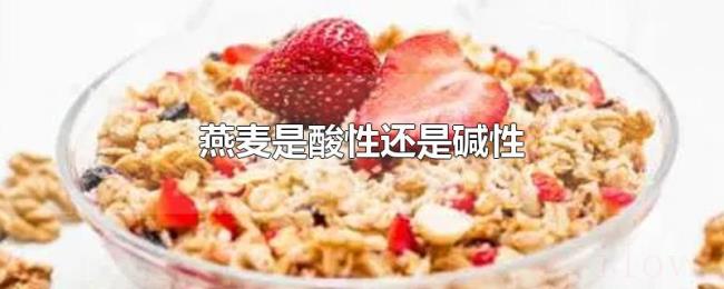 燕麦是酸性还是碱性