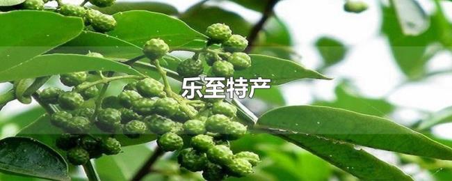 乐至特产 乐至特产