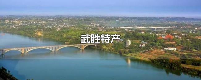 武胜特产 武胜特产