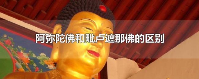 阿弥陀佛和毗卢遮那佛的区别 阿弥陀佛和毗卢遮那佛的区别