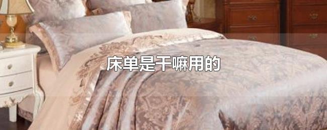 床单是干嘛用的 床单是干嘛用的