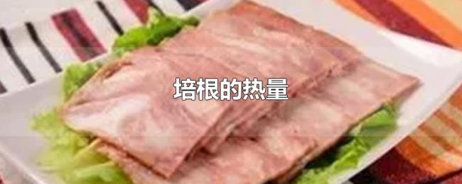 培根的热量