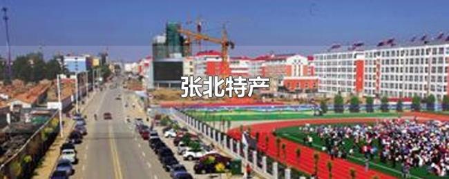 张北特产 张北特产