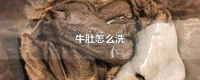 牛肚怎么洗 牛肚怎么洗