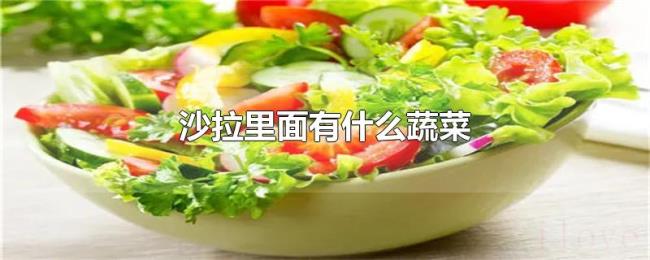 沙拉里面有什么蔬菜