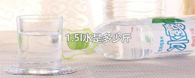 1.5l水是多少斤 1.5l水是多少斤