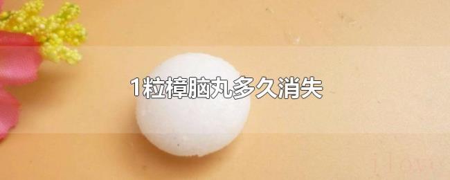 1粒樟脑丸多久消失 1粒樟脑丸多久消失