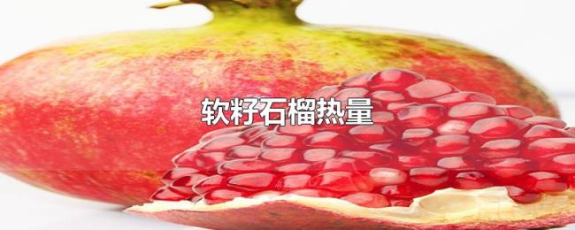 软籽石榴热量 软籽石榴热量