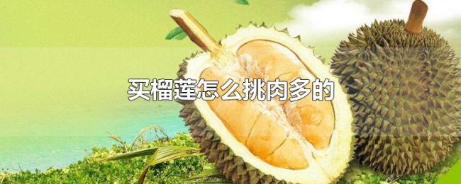 买榴莲怎么挑肉多的 买榴莲怎么挑肉多的