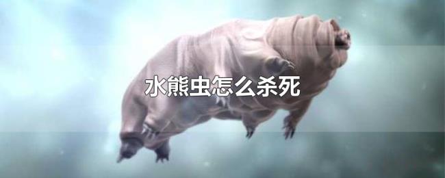水熊虫怎么杀死 水熊虫怎么杀死