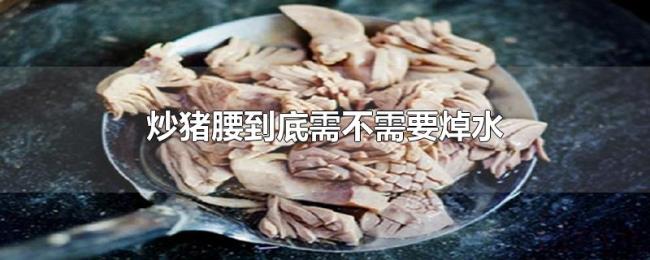 炒猪腰到底需不需要焯水 炒猪腰到底需不需要焯水