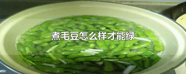 煮毛豆怎么样才能绿 煮毛豆怎么样才能绿