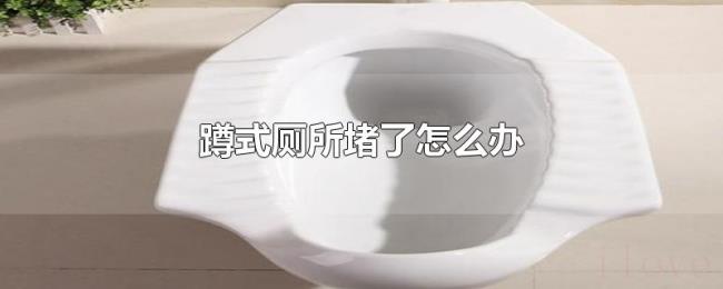 蹲式厕所堵了怎么办 蹲式厕所堵了怎么办