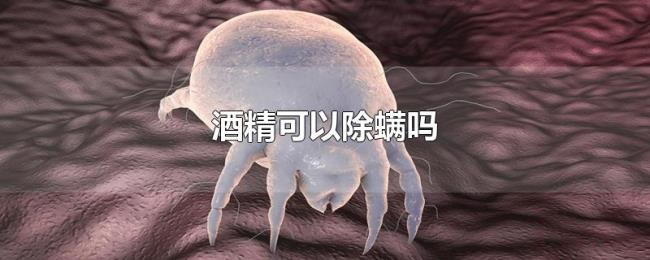 酒精可以除螨吗 酒精可以除螨吗