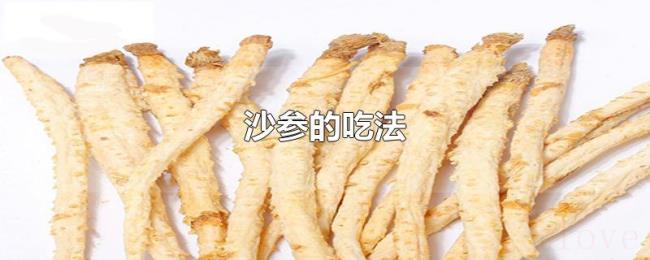 沙参的吃法 沙参的吃法