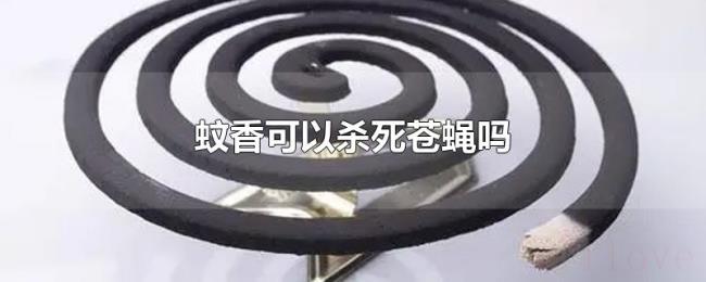 蚊香可以杀死苍蝇吗 蚊香可以杀死苍蝇吗