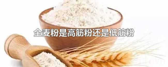 全麦粉是高筋粉还是低筋粉