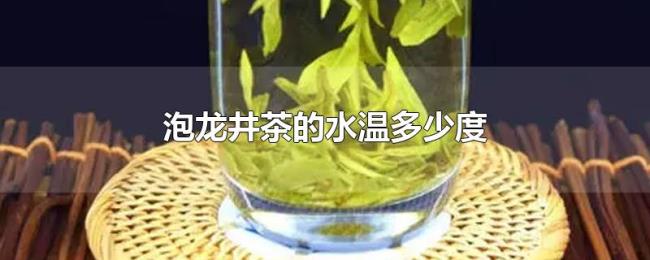 泡龙井茶的水温多少度