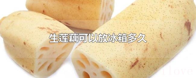 生莲藕可以放冰箱多久