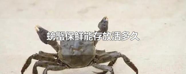 螃蟹保鲜能存放活多久