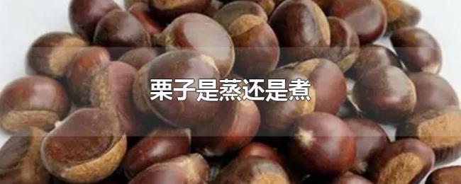 栗子是蒸还是煮 栗子是蒸还是煮