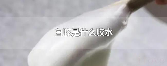 白胶是什么胶水