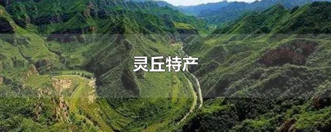 灵丘特产 灵丘特产