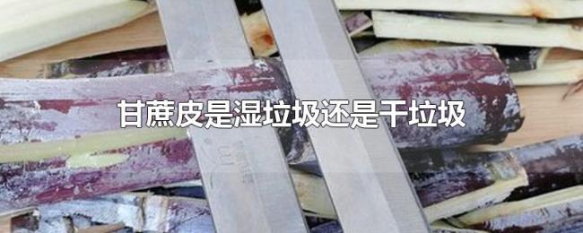 甘蔗皮是湿垃圾还是干垃圾