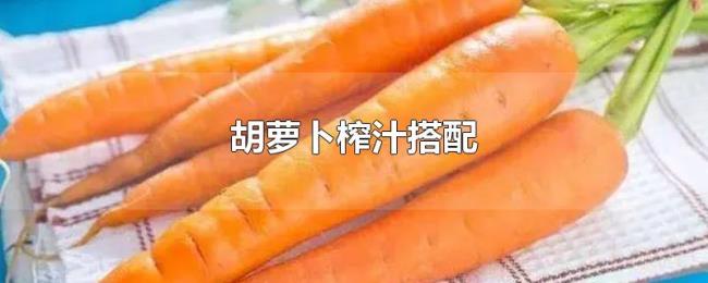 胡萝卜榨汁搭配