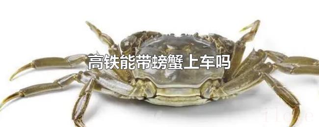 高铁能带螃蟹上车吗