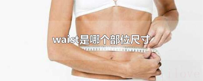 waist是哪个部位尺寸