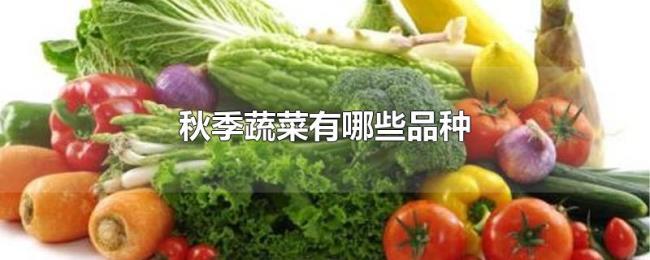 秋季蔬菜有哪些品种 秋季蔬菜有哪些品种