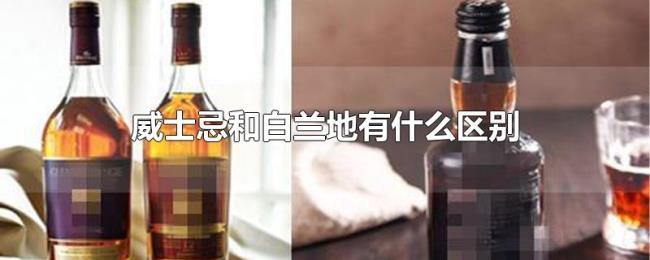 威士忌和白兰地有什么区别