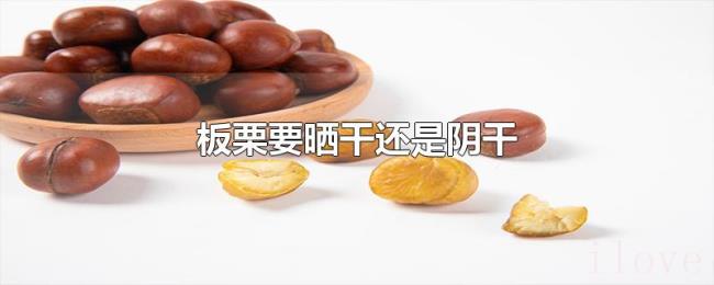 板栗要晒干还是阴干