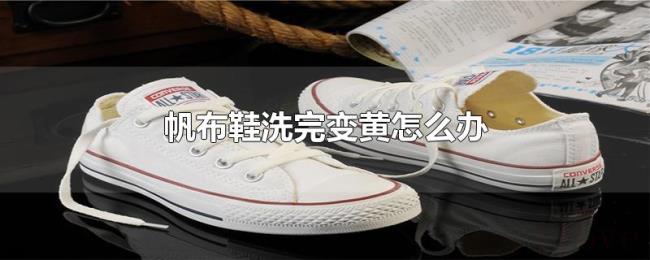 帆布鞋洗完变黄怎么办