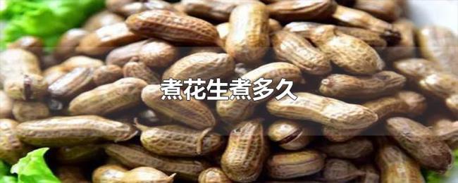 煮花生煮多久 煮花生煮多久