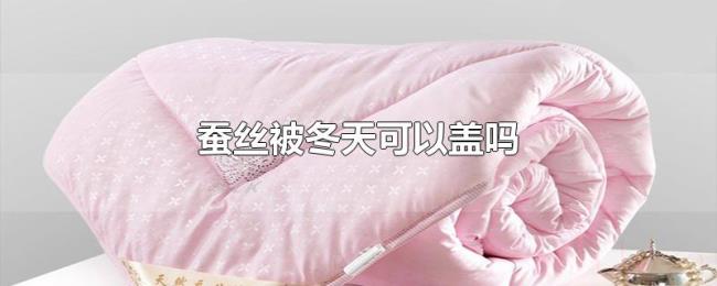 蚕丝被冬天可以盖吗 蚕丝被冬天可以盖吗