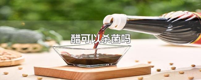 醋可以杀菌吗 醋可以杀菌吗
