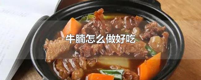 牛腩怎么做好吃 牛腩怎么做好吃